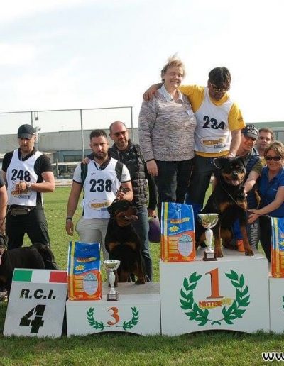 Nikla rottweiler femmina premiazione