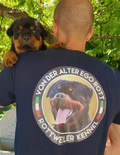 rottweiler - Allevamento Von der alter ego rott