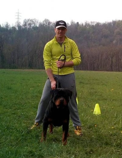 rottweiler - Allevamento Von der alter ego rott