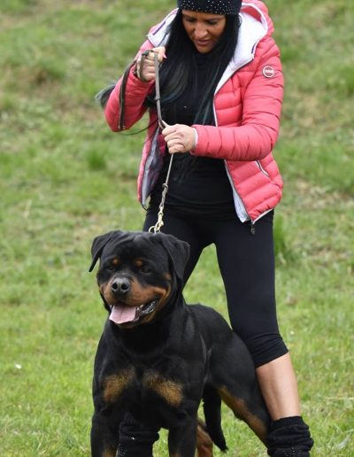 rottweiler - Allevamento Von der alter ego rott