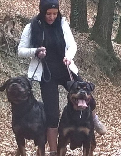 rottweiler - Allevamento Von der alter ego rott