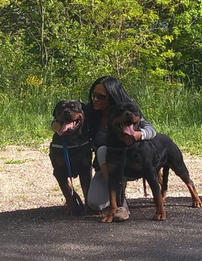 rottweiler - Allevamento Von der alter ego rott
