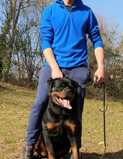 rottweiler - Allevamento Von der alter ego rott