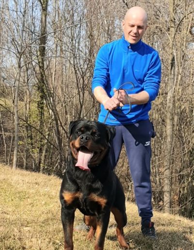 rottweiler - Allevamento Von der alter ego rott