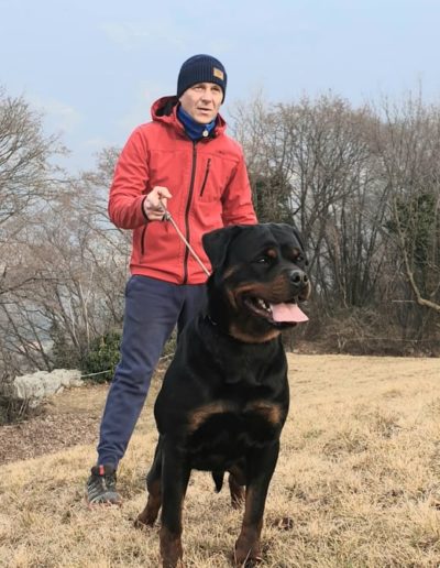 rottweiler - Allevamento Von der alter ego rott