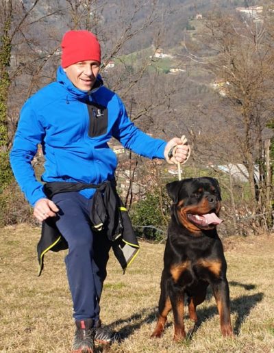 rottweiler - Allevamento Von der alter ego rott